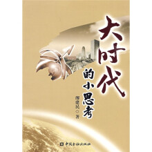 大时代的小思考