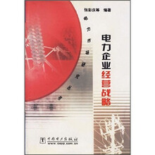 电力企业经营战略