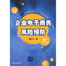 企业电子商务风险预防