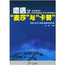 遭遇“麦莎”与“卡努”:2005北仑人民抗击强台风纪实