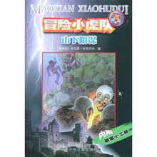 冒险小虎队系列：山下阴谋