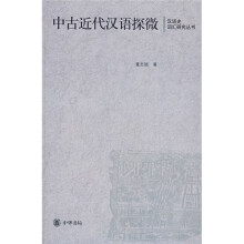中古近代汉语探微