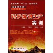 转炉炼钢生产实训