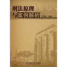 刑法原理与案例解析