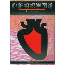 心脏组织学图谱