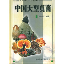 中国大型真菌