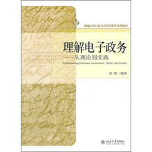 理解电子政务：从理论到实践