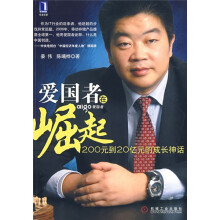 爱国者在崛起：200元到20亿元的成长神话