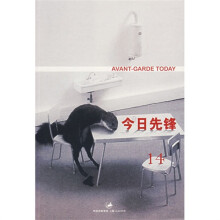 今日先锋14