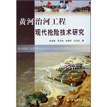 黄河治河工程现代抢险技术研究
