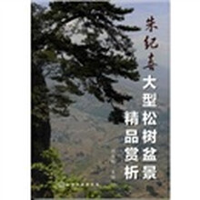 大型松树盆景精品赏析