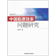 中国能源效率问题研究
