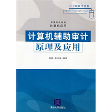 计算机辅助审计原理及应用