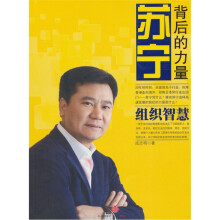 苏宁:背后的力量(组织智慧)