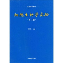 企业战略管理(修订第4版)