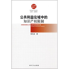 公共利益论域中的知识产权限制