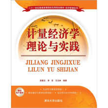计量经济学理论与实践（二十一世纪普通高等院校实用规划教材·经济管理系列）