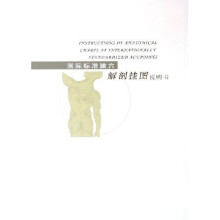 国际标准腧穴解剖挂图说明书(共6张)