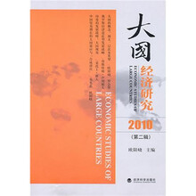 2010大国经济研究(第2辑)