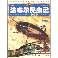 法布尔昆虫记:蟋蟀(儿童版)