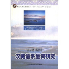 汉藏语系量词研究