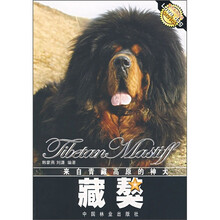 来自青藏高原的神犬:藏獒