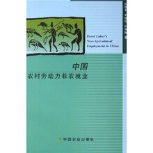 中国农村劳动力非农就业