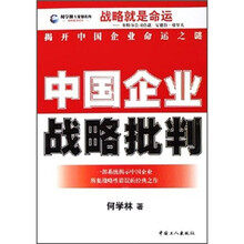 中国企业战略批判