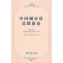 中国城市化道路新论