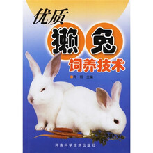 优质獭兔饲养技术