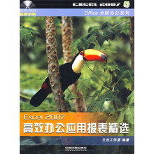 Excel 2007高效办公应用报表精选（附光盘）