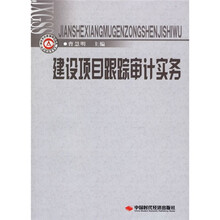 建设项目跟踪审计实务