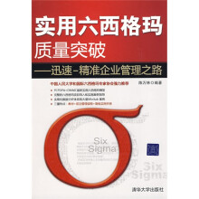实用六西格玛质量突破：迅速·精准企业管理之路