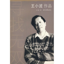王小小作品系列：寻找无双