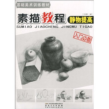 基础美术训练教材·素描教程：静物提高