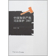 中国知识产权司法保护2007