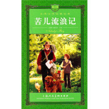 世界文学名著宝库:苦儿流浪记(青少版)