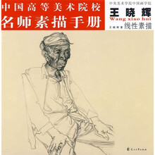 中国高等美术院校名师素描手册:王晓辉线性素描