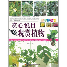 植物科普馆:赏心悦目的观赏植物