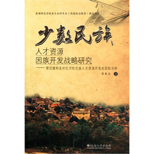 少数民族人才资源团族开发战略研究：理论建构及对红河哈尼族人才资源开发的实际分析