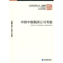 中国中钢集团公司考察