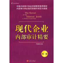 现代企业内部审计精要(第2版)