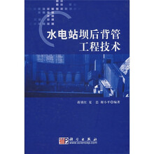 水电站坝后背管工程技术
