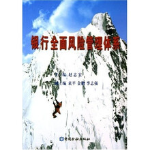 银行全面风险管理体系