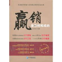 “赢销”是怎样炼成的:快速提升终端门店销售业绩的实战宝典