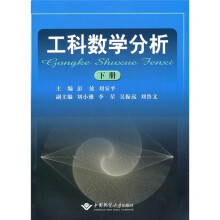 工科数学分析(下册)