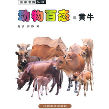动物百态·黄牛