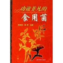 功效非凡的食用菌