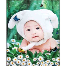 天使宝贝挂图8·小兔宝宝：婴儿健康抚触操