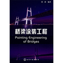 桥梁涂装工程
